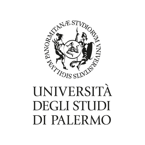 SIDA DRIVE - simulatore di guida - Univ Palermo