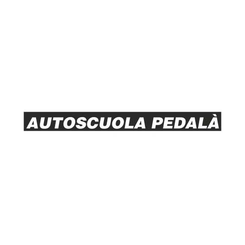 SIDA DRIVE - simulatore di guida - Pedala 2