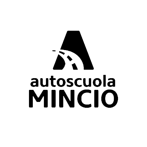 SIDA DRIVE - simulatore di guida - mincio