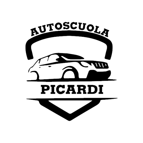 SIDA DRIVE - simulatore di guida - picardi